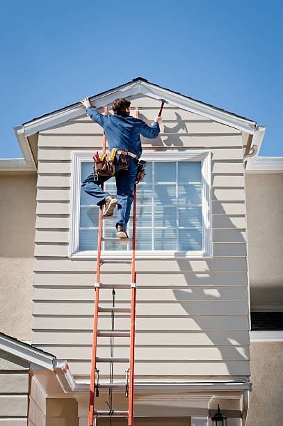 Best Shed Removal  in USA